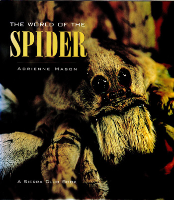 The Nature of Spiders