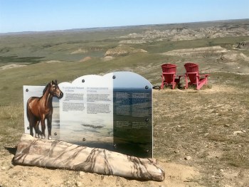 Interpretive panel from Grasslands National Park, Metrographics 